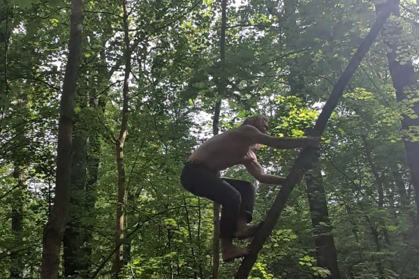 Baumklettern und Balanceübung