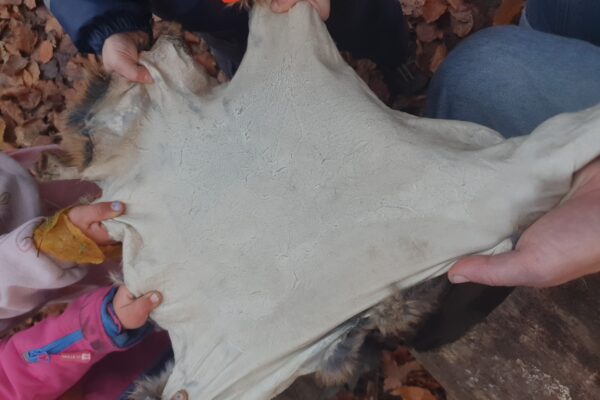 Fellgerbung mit Kindern